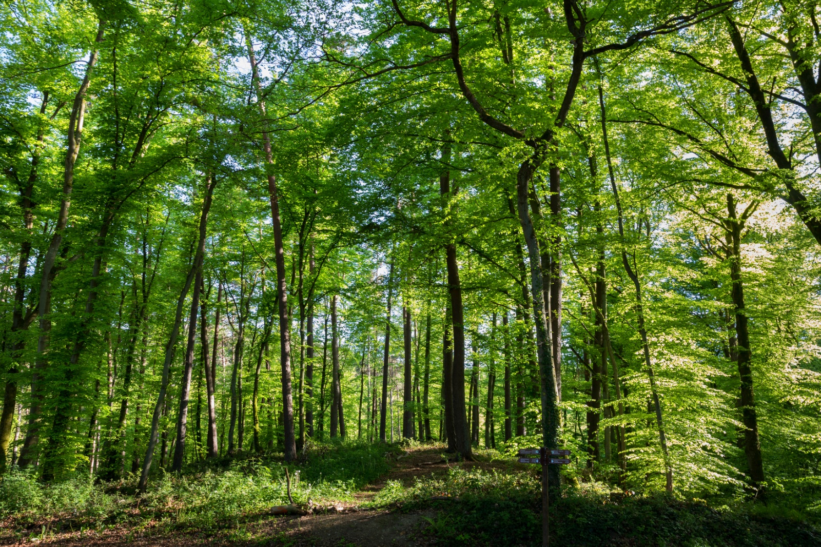 Khaledfrikha photographe paysage nancy lorraine site web kf 2018  (8)097043